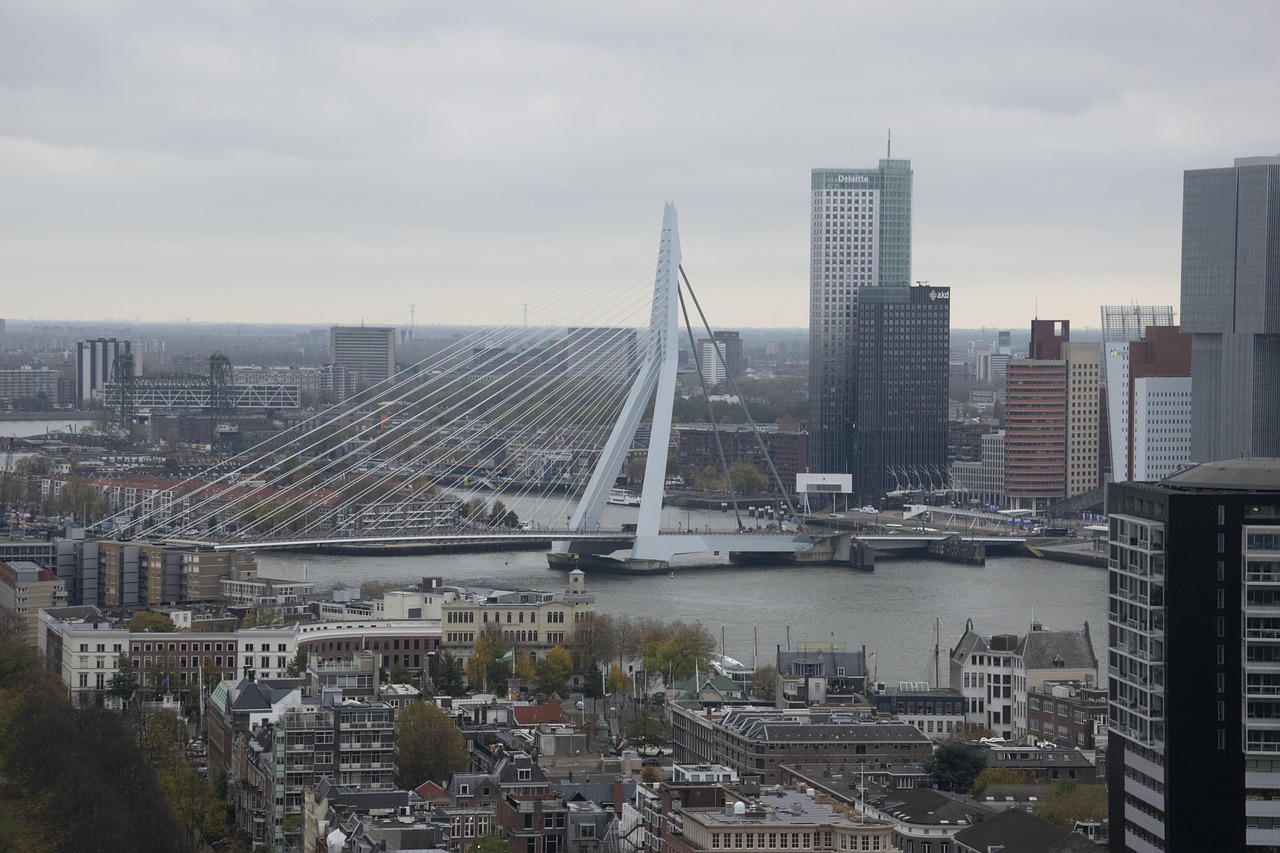Rotterdam erasmusbrug