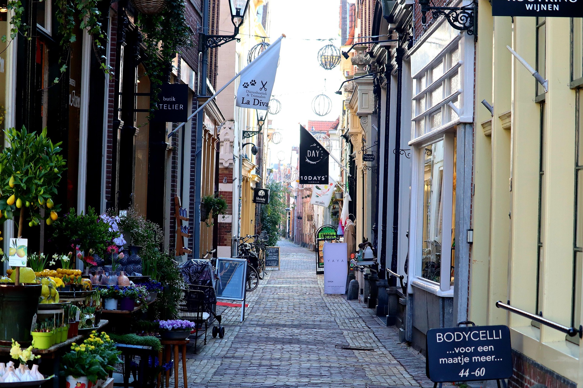 Alkmaar