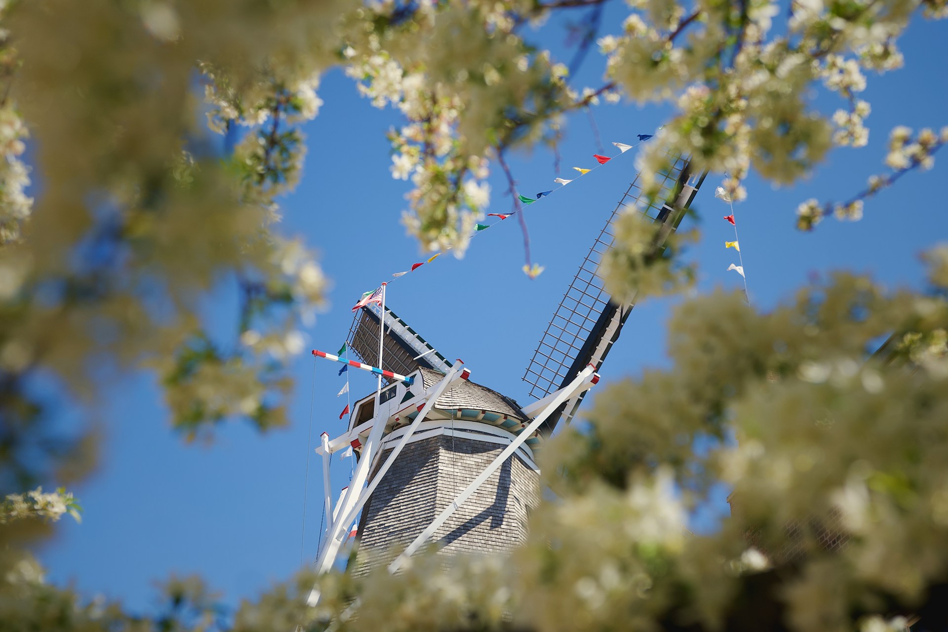 Pella windmill