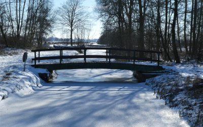 The Netherlands vs Canada: A Comparison of Everyday Life