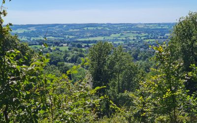 Discover the three-country point in Vaals: Where Three Countries Meet