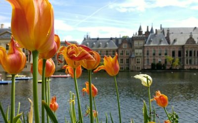 Top 10 Things to Do in The Hague