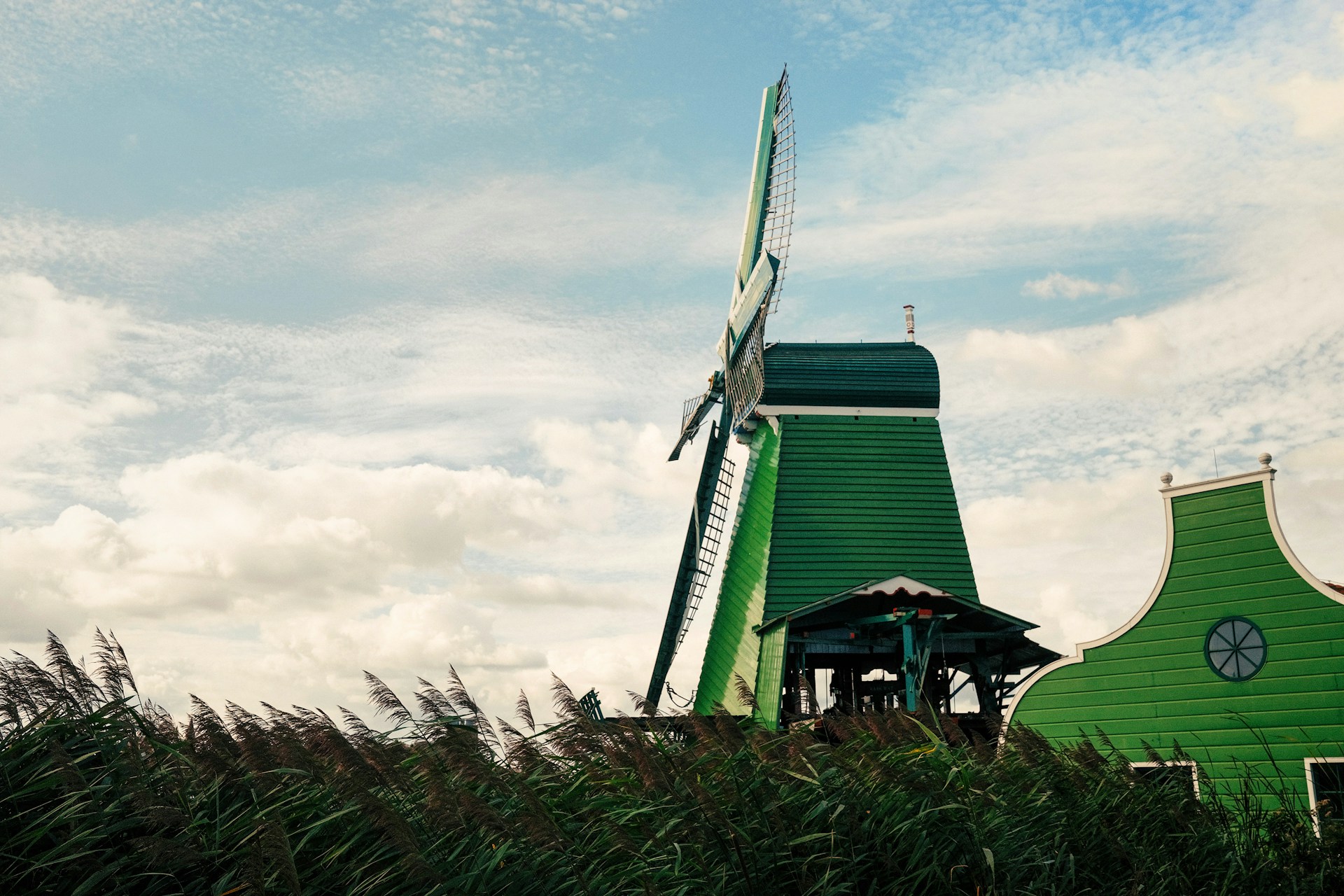 Zaanse Schans windmill