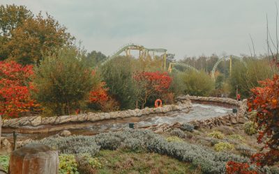 Walibi vs Toverland: Which Theme Park Is Right for You?