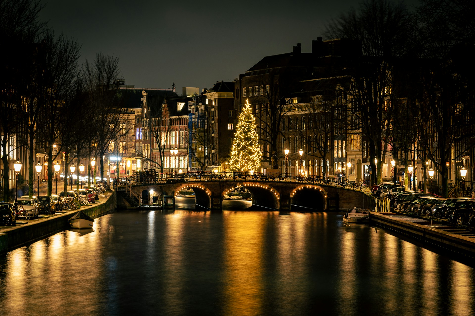 Amsterdam christmas tree Amsterdam christmas tree